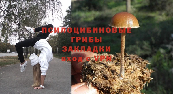 бошки Нязепетровск