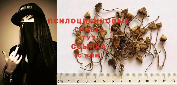 2c-b Няндома